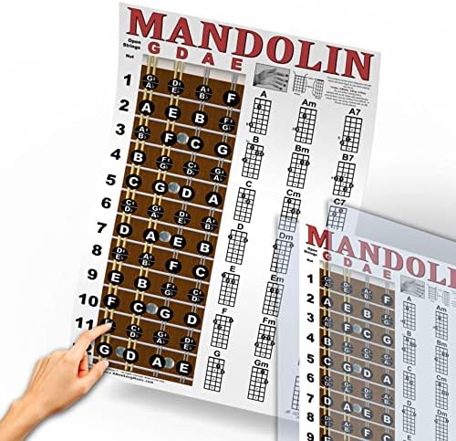 Ламиниран Лешояд Мандолини Бележки и Проста Таблица Акорди за начинаещи 11 x 17 модул за Обучение Плакат от A New