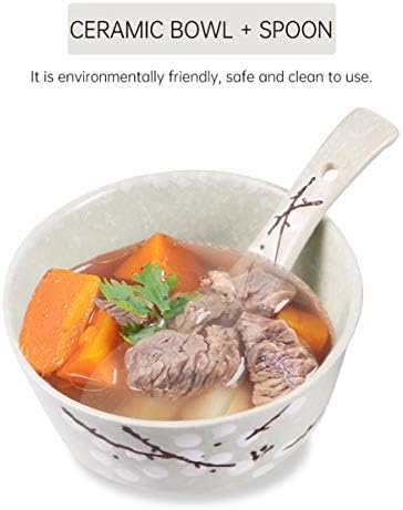 Cabilock Японски Чинии 6шт Набор от Съдове за готвене с Керамични Плочи Ястие Купата на Лъжица Пръчици За Хранене