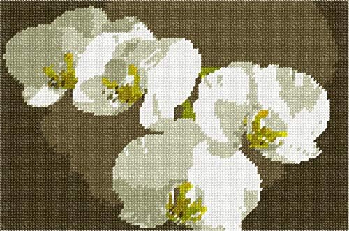 Платно за бродиране Пепиты: Бели Орхидеи, 15 x 10