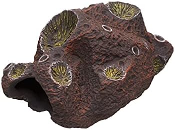 Керамично украса от цихлиди Plecoceramics - Декор за Покриване на Аквариумни рибки - пещера за цихлиди Plecos Bettas