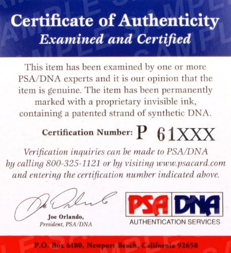 Дан Severn Подписа Официално Ръкавицата UFC за борба с Автограф на PSA/DNA COA 4 5 6 9 12 HOF - Ръкавици UFC с автограф
